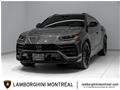 2021 Lamborghini Urus SELEZIONE 12 MONTH CPO for sale 2021
Lamborghini
Urus SELEZIONE 12 MONTH CPO